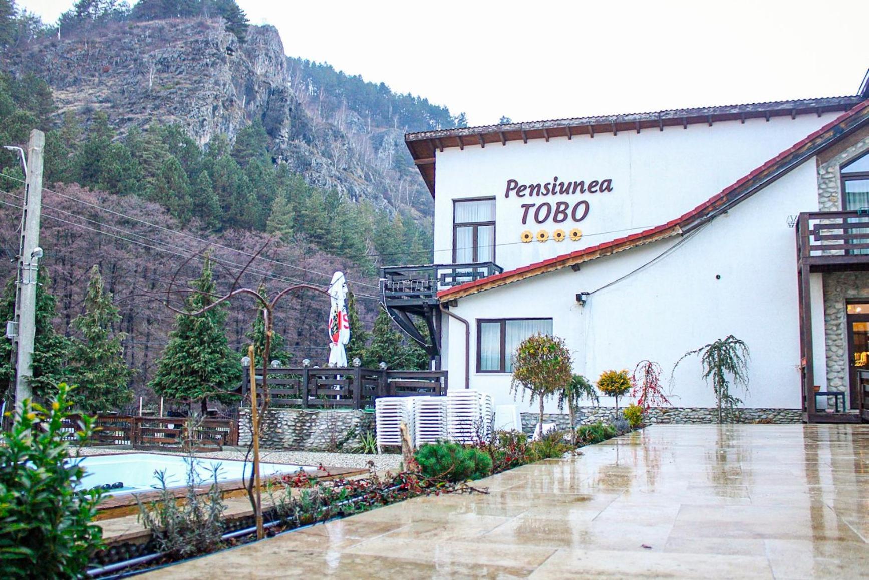 Pensiunea Tobo Baia de Fier Εξωτερικό φωτογραφία